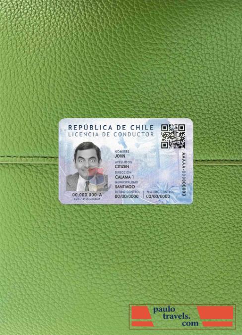 Chile Dl psd photolook FRONT PSD template